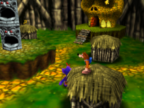 Banjo Kazooie